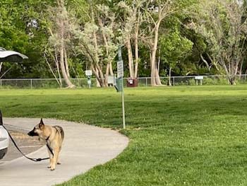 fujidogpark